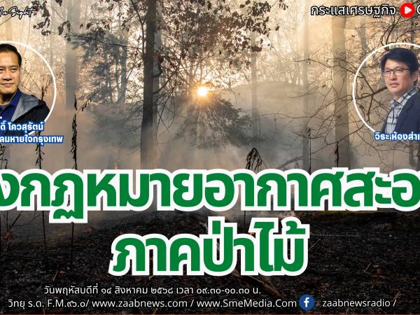 The Leader Insight รู้จักร่างกฏหมายอากาศสะอาด : ภาคป่าไม้
