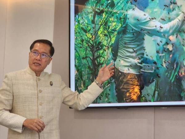 ถ่ายทอดประสบการณ์ เรื่องแนวทางของประเทศไทยกับการพัฒนาที่ยั่งยืน ผ่านกระบวนทัศน์ ESG