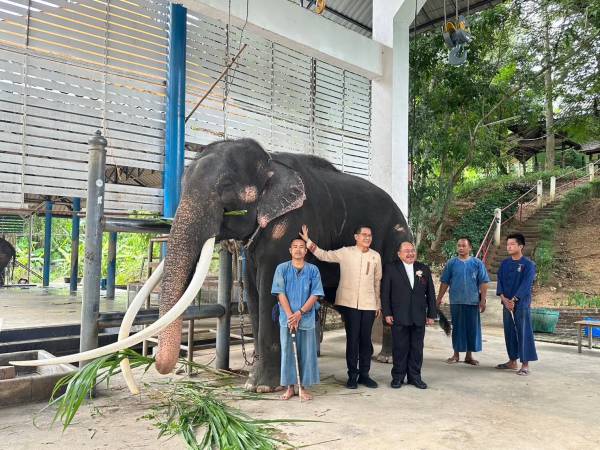 มีโอกาสเยี่ยมพลายศักดิ์สุรินทร์ด้วยพอดีครับ